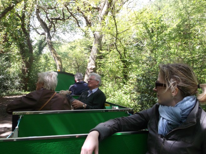 Let's take the land-train back to the cafe where the walk began